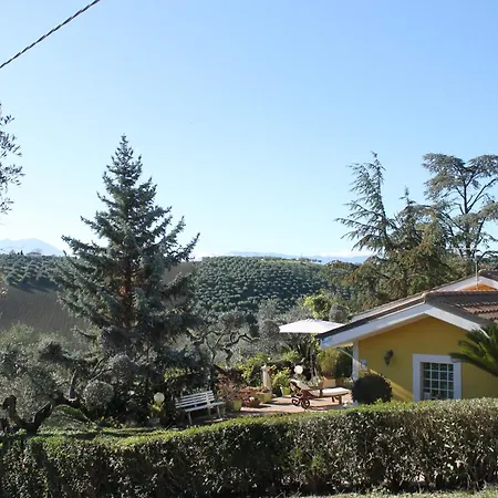Lägenhet Bloemenhuis Pianella (Pescara)