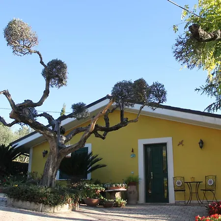 Bloemenhuis Appartement Pianella (Pescara)