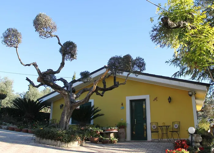 Bloemenhuis Διαμέρισμα Pianella (Pescara)